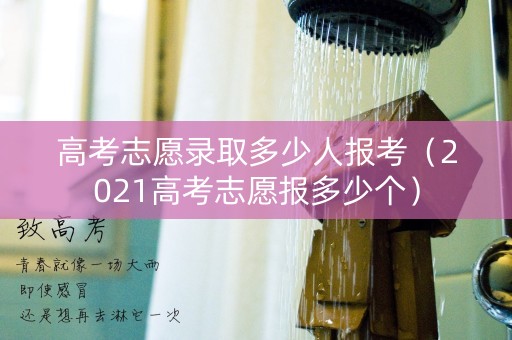 高考志愿录取多少人报考（2021高考志愿报多少个）