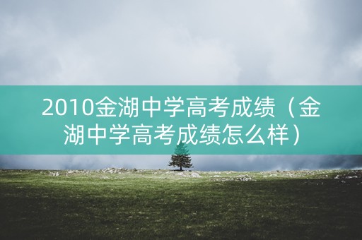 2010金湖中学高考成绩（金湖中学高考成绩怎么样）