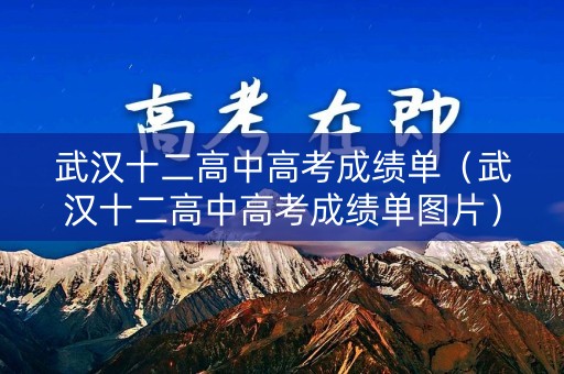 武汉十二高中高考成绩单（武汉十二高中高考成绩单图片）