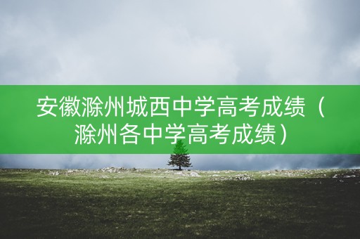 安徽滁州城西中学高考成绩（滁州各中学高考成绩）