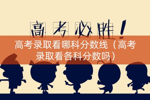 高考录取看哪科分数线（高考录取看各科分数吗）