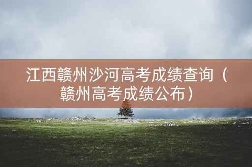 江西赣州沙河高考成绩查询（赣州高考成绩公布）