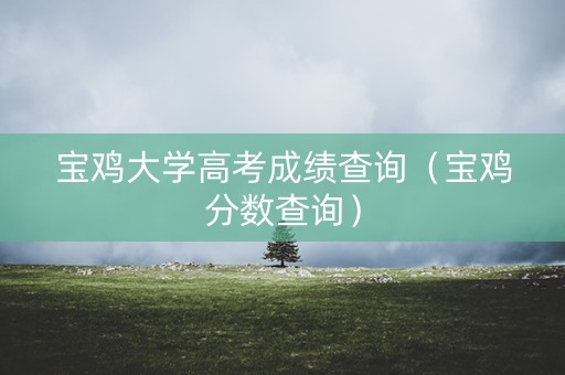 宝鸡大学高考成绩查询（宝鸡分数查询）