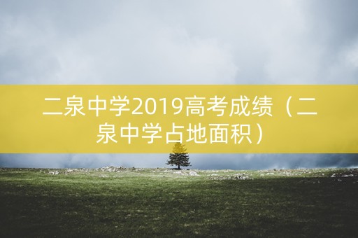 二泉中学2019高考成绩（二泉中学占地面积）