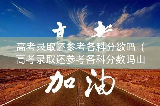 高考录取还参考各科分数吗（高考录取还参考各科分数吗山东）