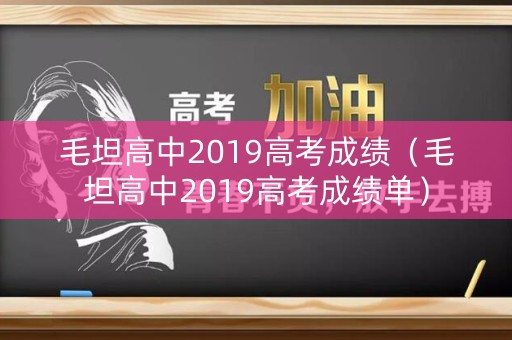 毛坦高中2019高考成绩（毛坦高中2019高考成绩单）