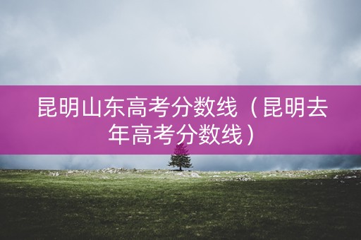 昆明山东高考分数线（昆明去年高考分数线）