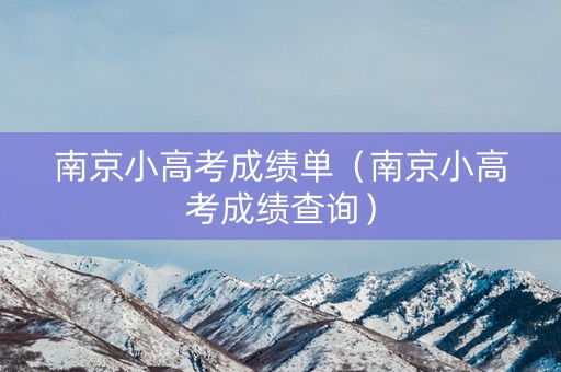 南京小高考成绩单（南京小高考成绩查询）