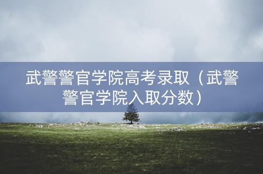 武警警官学院高考录取（武警警官学院入取分数）