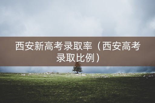 西安新高考录取率（西安高考录取比例）