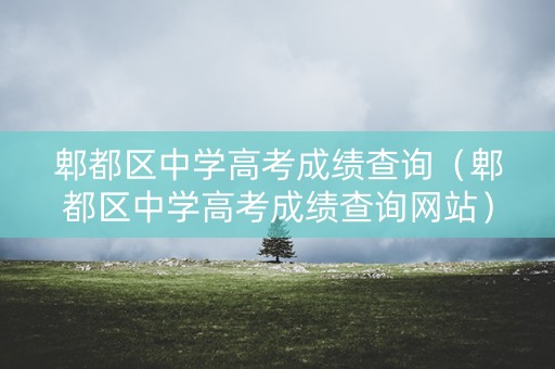郫都区中学高考成绩查询（郫都区中学高考成绩查询网站）