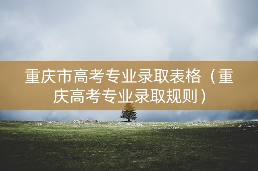 重庆市高考专业录取表格（重庆高考专业录取规则）