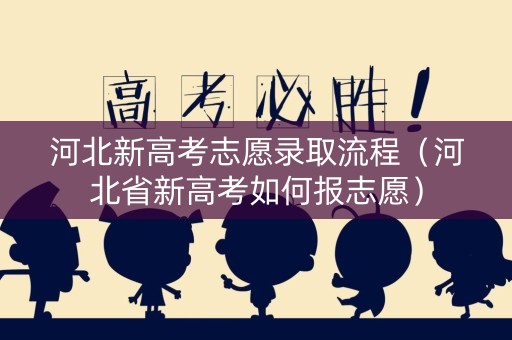 河北新高考志愿录取流程（河北省新高考如何报志愿）