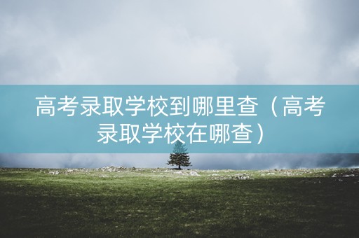 高考录取学校到哪里查（高考录取学校在哪查）