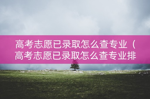 高考志愿已录取怎么查专业（高考志愿已录取怎么查专业排名）