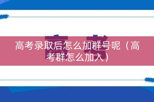 高考录取后怎么加群号呢（高考群怎么加入）