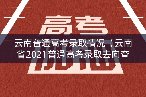 云南普通高考录取情况（云南省2021普通高考录取去向查询）