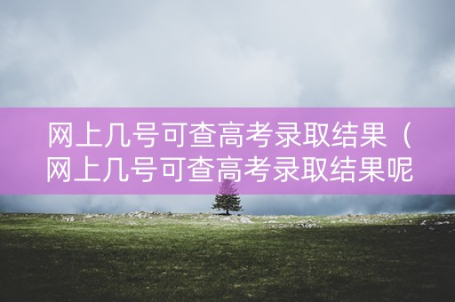 网上几号可查高考录取结果（网上几号可查高考录取结果呢）