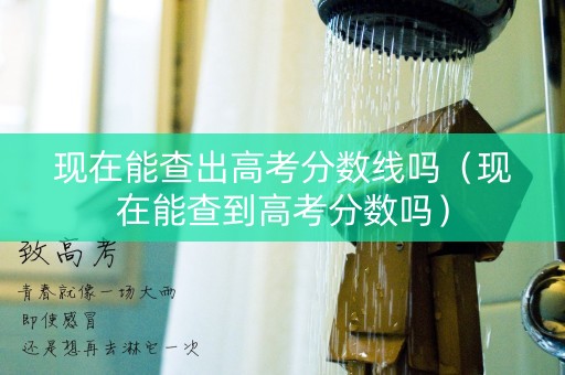 现在能查出高考分数线吗（现在能查到高考分数吗）