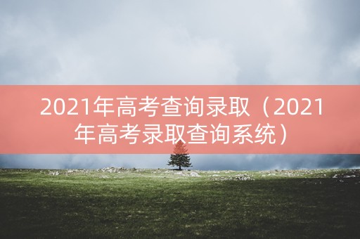 2021年高考查询录取（2021年高考录取查询系统）