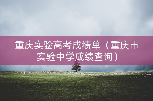 重庆实验高考成绩单（重庆市实验中学成绩查询）
