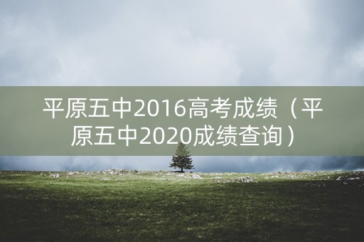 平原五中2016高考成绩（平原五中2020成绩查询）