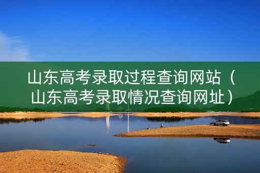 山东高考录取过程查询网站（山东高考录取情况查询网址）