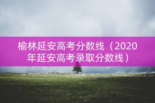 榆林延安高考分数线（2020年延安高考录取分数线）