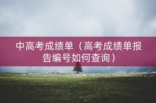 中高考成绩单（高考成绩单报告编号如何查询）