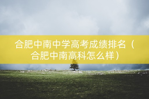 合肥中南中学高考成绩排名（合肥中南高科怎么样）