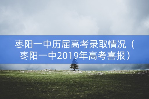 枣阳一中历届高考录取情况（枣阳一中2019年高考喜报）