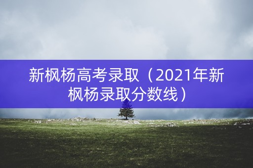 新枫杨高考录取（2021年新枫杨录取分数线）