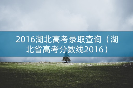 2016湖北高考录取查询(湖北省高考分数线2016) 2016湖北高考录取查询(湖北省高考分数线2016)