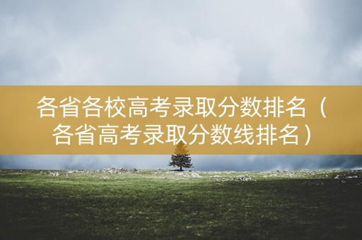 各省各校高考录取分数排名(各省高考录取分数线排名) 各省各校高考录取分数排名(各省高考录取分数线排名)