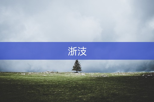浙汥 浙汥