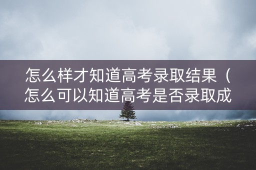 怎么样才知道高考录取结果(怎么可以知道高考是否录取成功) 怎么样才知道高考录取结果(怎么可以知道高考是否录取成功)