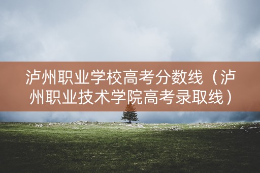 泸州职业学校高考分数线(泸州职业技术学院高考录取线) 泸州职业学校高考分数线(泸州职业技术学院高考录取线)