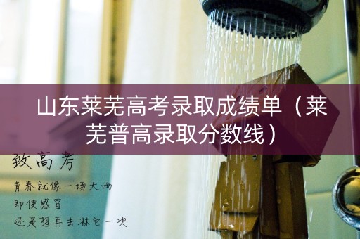 山东莱芜高考录取成绩单(莱芜普高录取分数线) 山东莱芜高考录取成绩单(莱芜普高录取分数线)