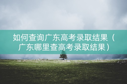 如何查询广东高考录取结果(广东哪里查高考录取结果) 如何查询广东高考录取结果(广东哪里查高考录取结果)