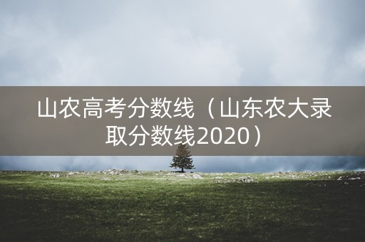 山农高考分数线(山东农大录取分数线2020) 山农高考分数线(山东农大录取分数线2020)