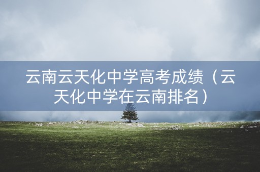 云南云天化中学高考成绩(云天化中学在云南排名) 云南云天化中学高考成绩(云天化中学在云南排名)