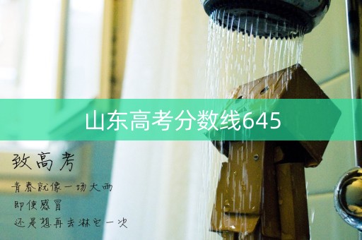 山东高考分数线645