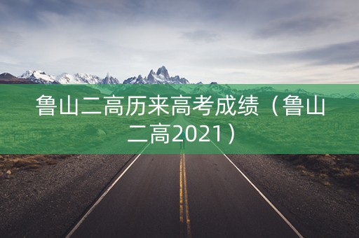 鲁山二高历来高考成绩（鲁山二高2021）