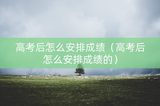 高考后怎么安排成绩（高考后怎么安排成绩的）