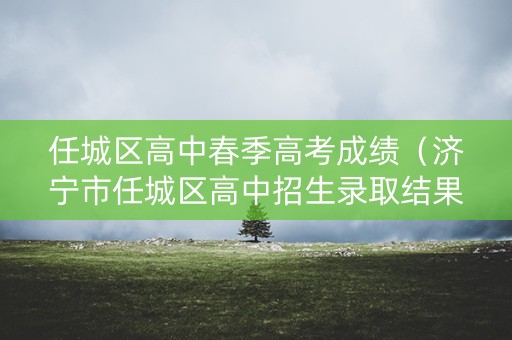 任城区高中春季高考成绩（济宁市任城区高中招生录取结果查询）