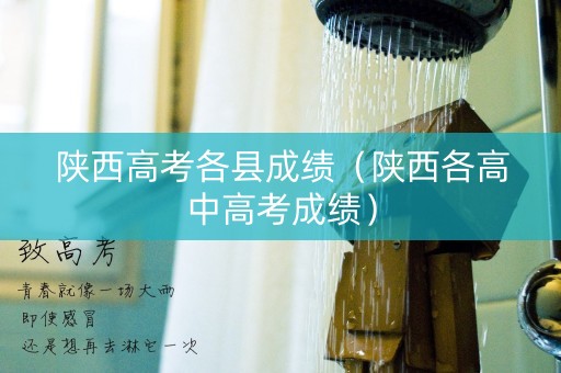 陕西高考各县成绩（陕西各高中高考成绩）