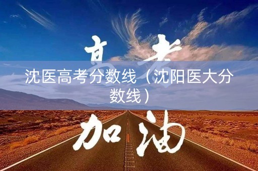 沈医高考分数线（沈阳医大分数线）