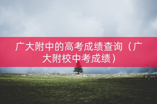 广大附中的高考成绩查询（广大附校中考成绩）