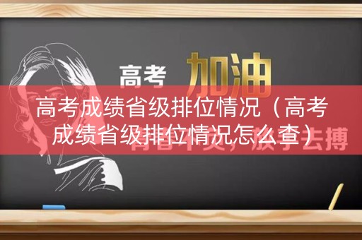 高考成绩省级排位情况（高考成绩省级排位情况怎么查）