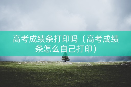 高考成绩条打印吗（高考成绩条怎么自己打印）